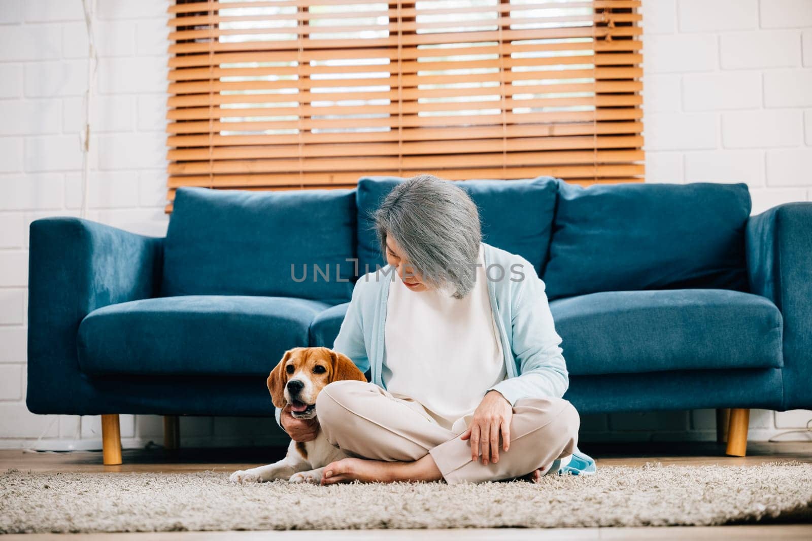 A portrait of happiness, An elderly woman and her Beagle puppy share a delightful moment on the sofa in their cozy living room. Their smiles reflect the togetherness and joy of pet companionship. by Sorapop