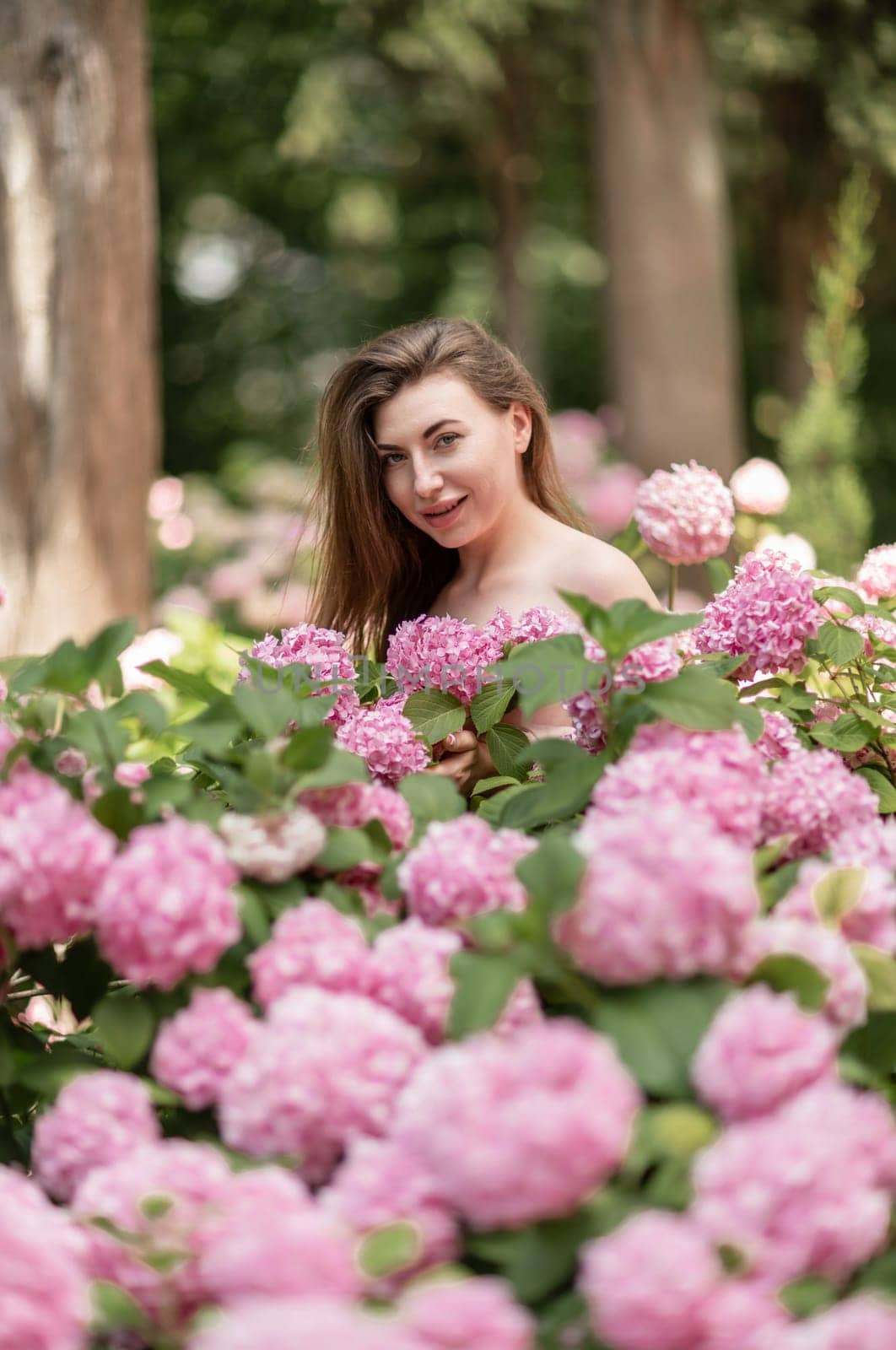 Hydrangeas Happy woman in pink dress amid hydrangeas. Large pink hydrangea caps surround woman. Sunny outdoor setting. Showcasing happy woman amid hydrangea bloom