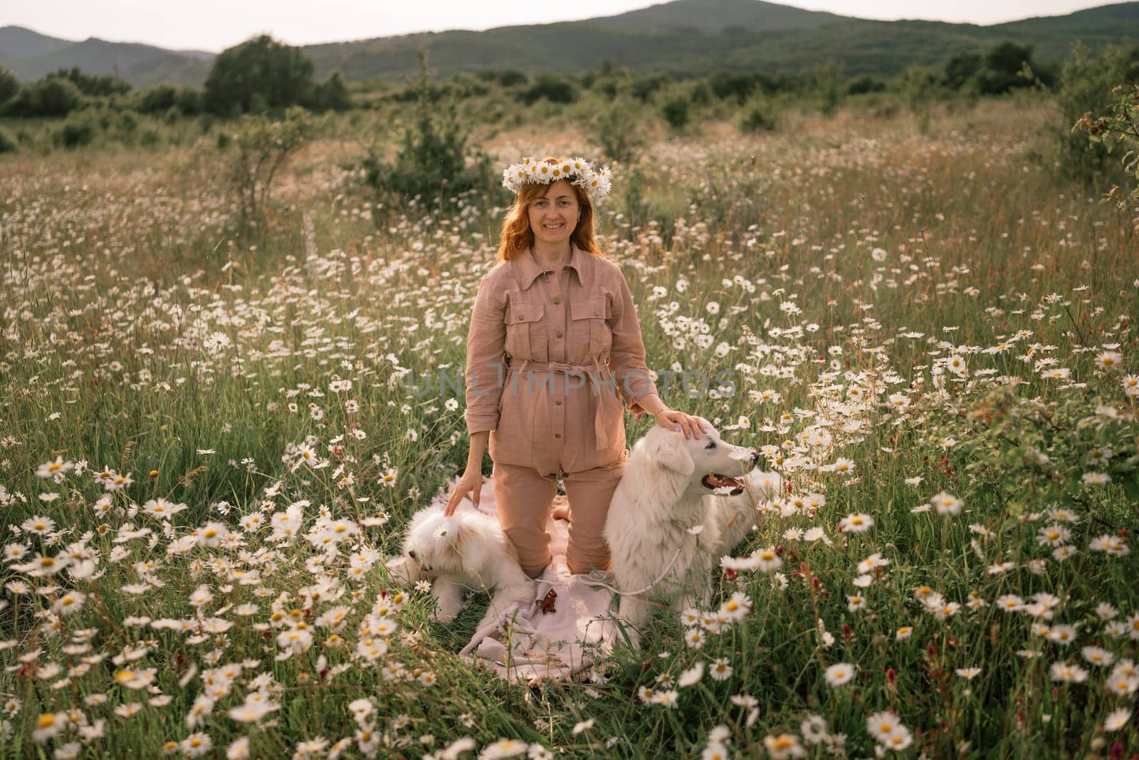 Woman dogs meadow chamomile. Woman embraces her furry friends in a serene chamomile field, surrounded by lush greenery. A heartwarming display of love and companionship between a woman and her dog