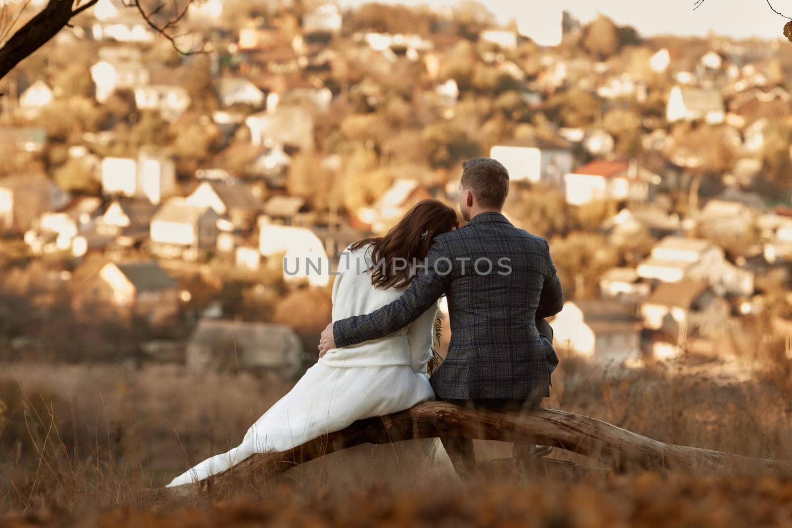 Couple hugging and sitting on tree on their wedding in nature, back view
