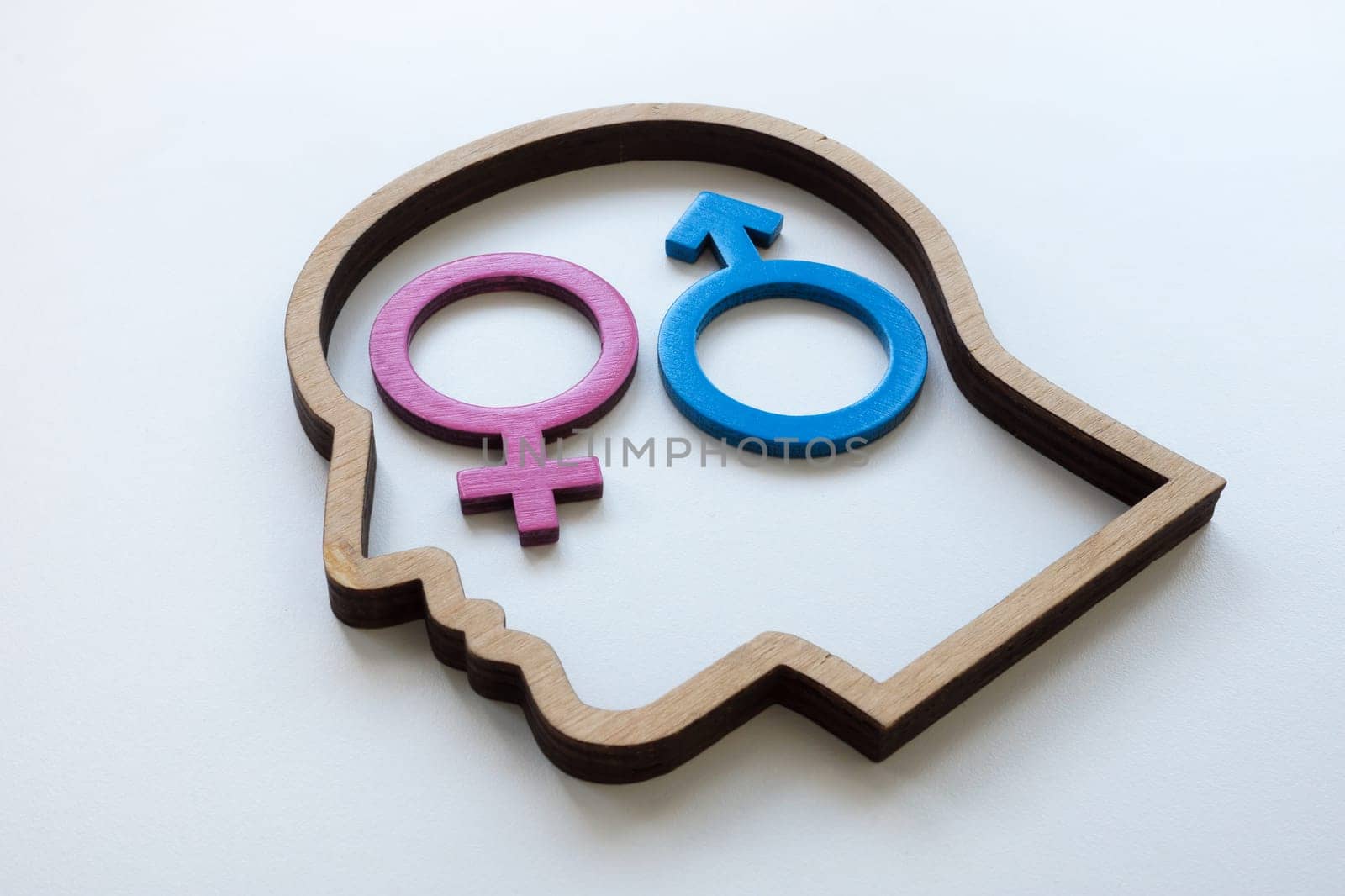 Heteronormativity concept. Head and gender signs. by designer491