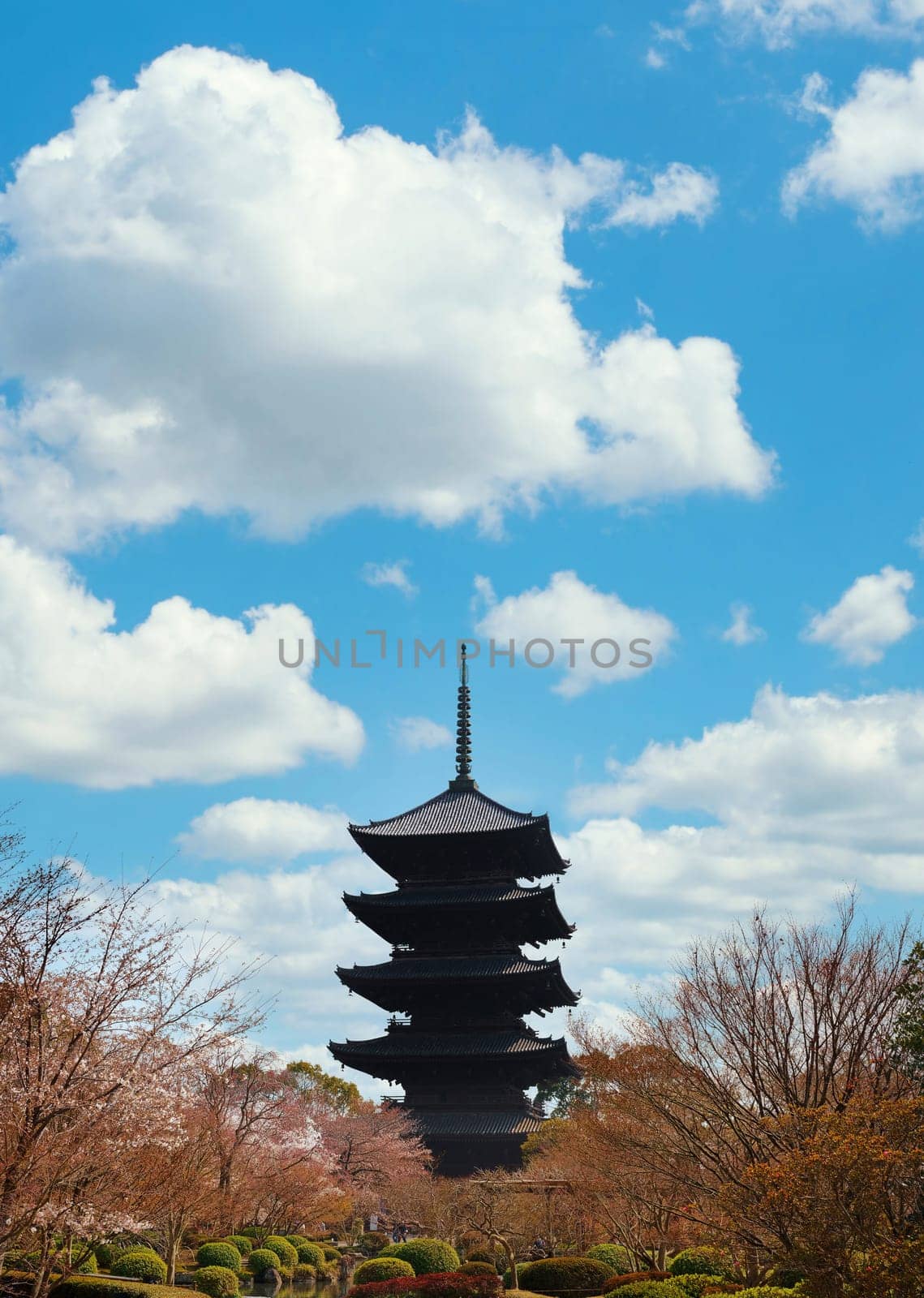 kyoto, japan - mar 25 2023: Above a lush garden filled with vibrant hydrangea shrubs and cherry trees on the verge of blossoming, the Toji Temple presents a traditional Japanese five-story pagoda.