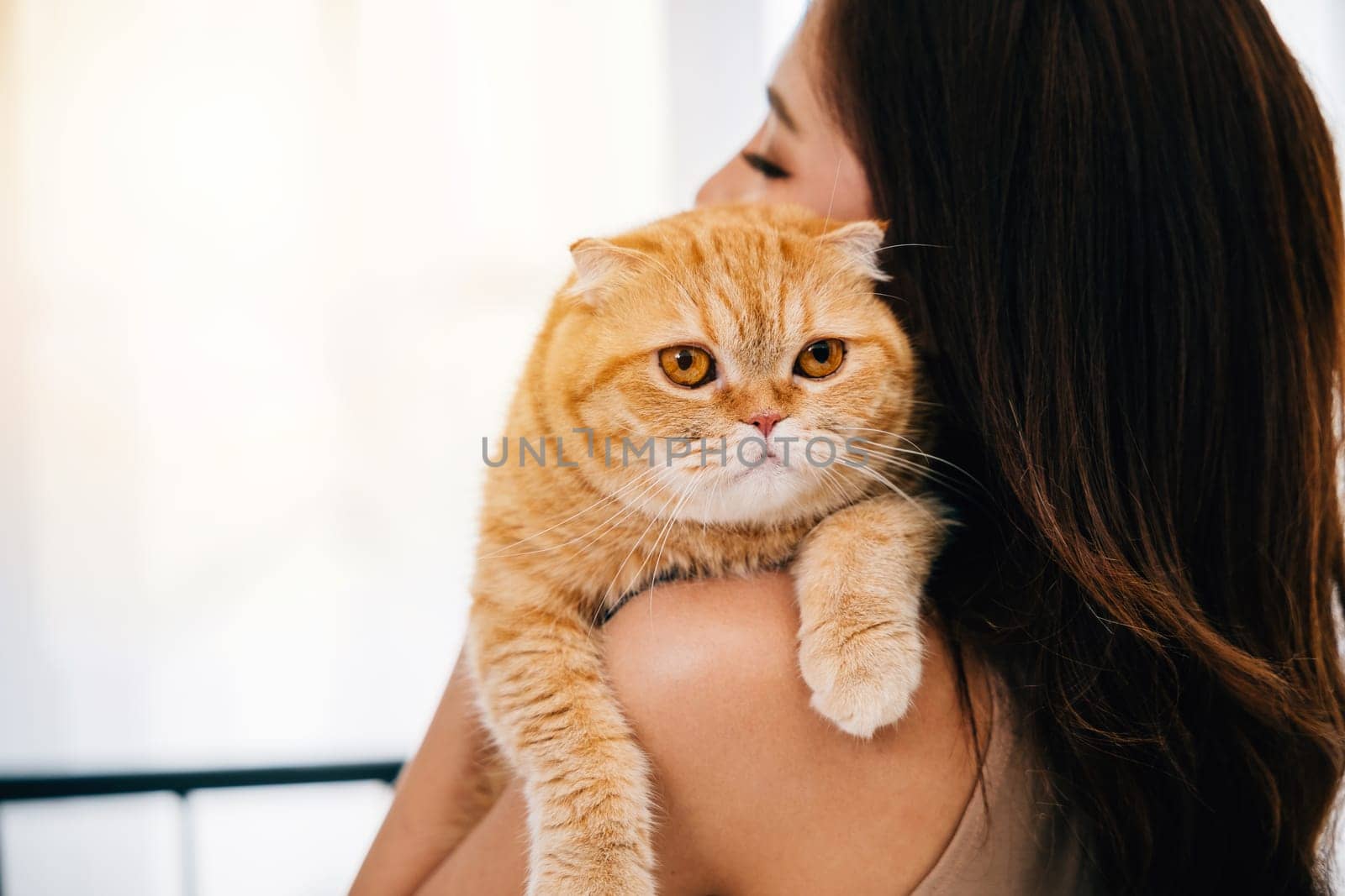 Back view close-up, an unrecognizable woman holds her Scottish Fold cat, their eyes radiating happiness and love. Perfect for a heartwarming portrait with ample copy space. by Sorapop