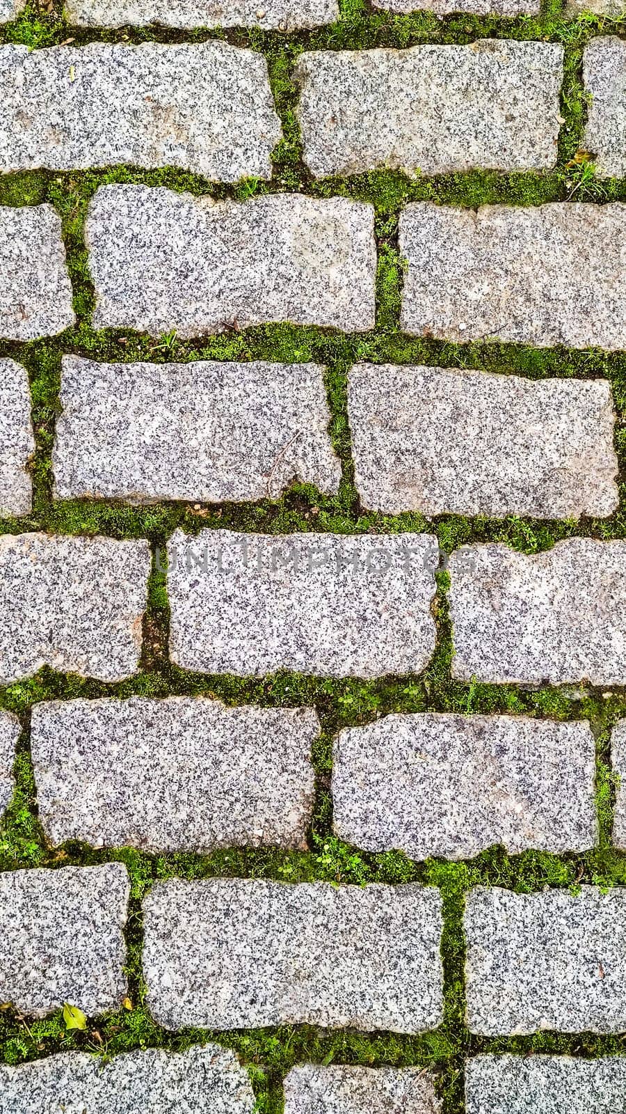 Green grass sprouted between bricks of cobblestone path, top view. Concept of harmonious fusion of city and nature. by Laguna781