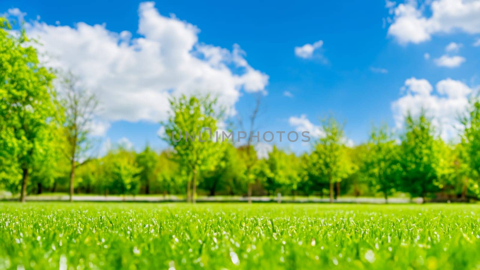 Green grass and blue sky with white clouds in the park in spring by DesignMarjolein