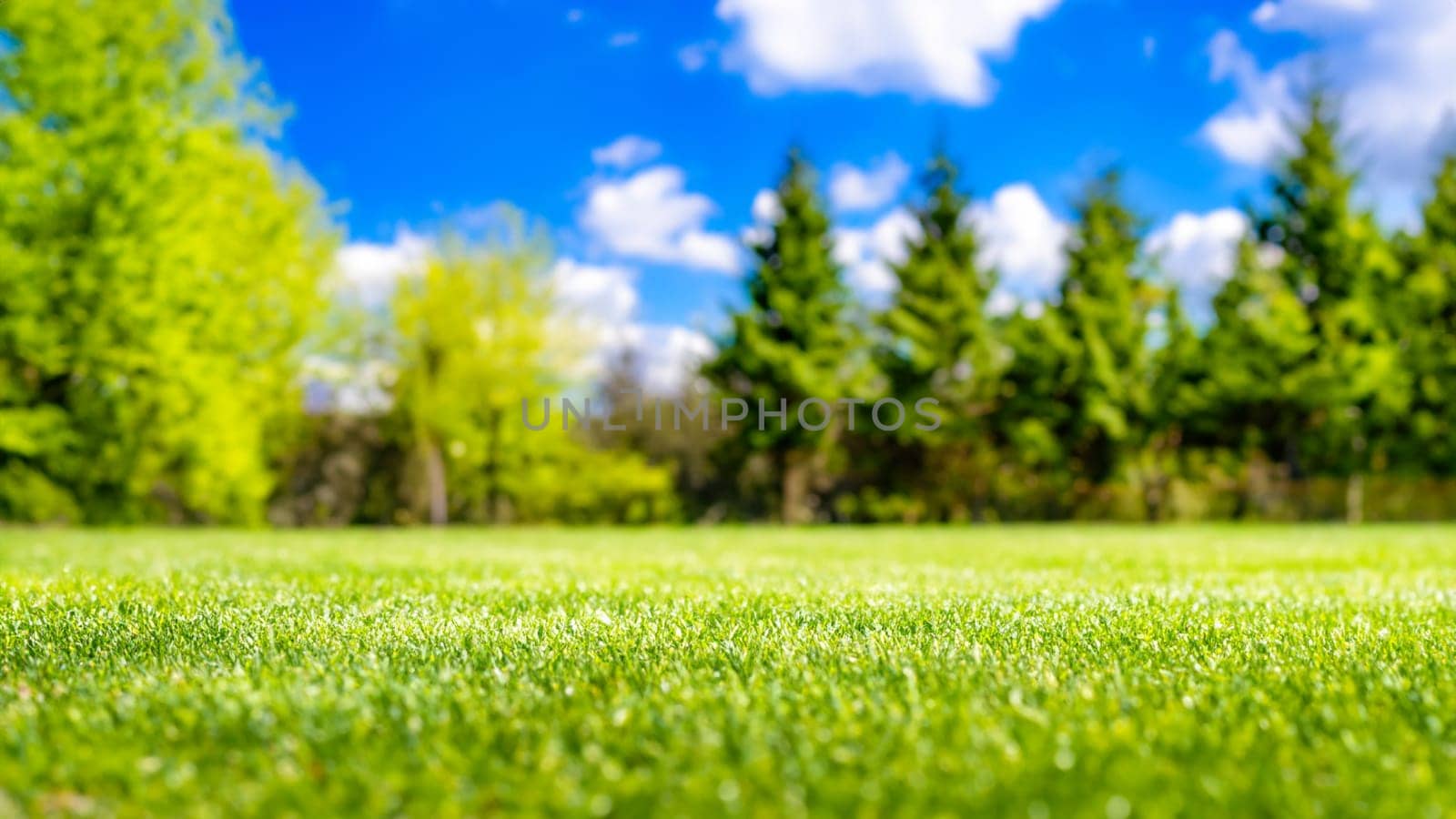 Green grass and blue sky with white clouds. Natural background. Copy space.