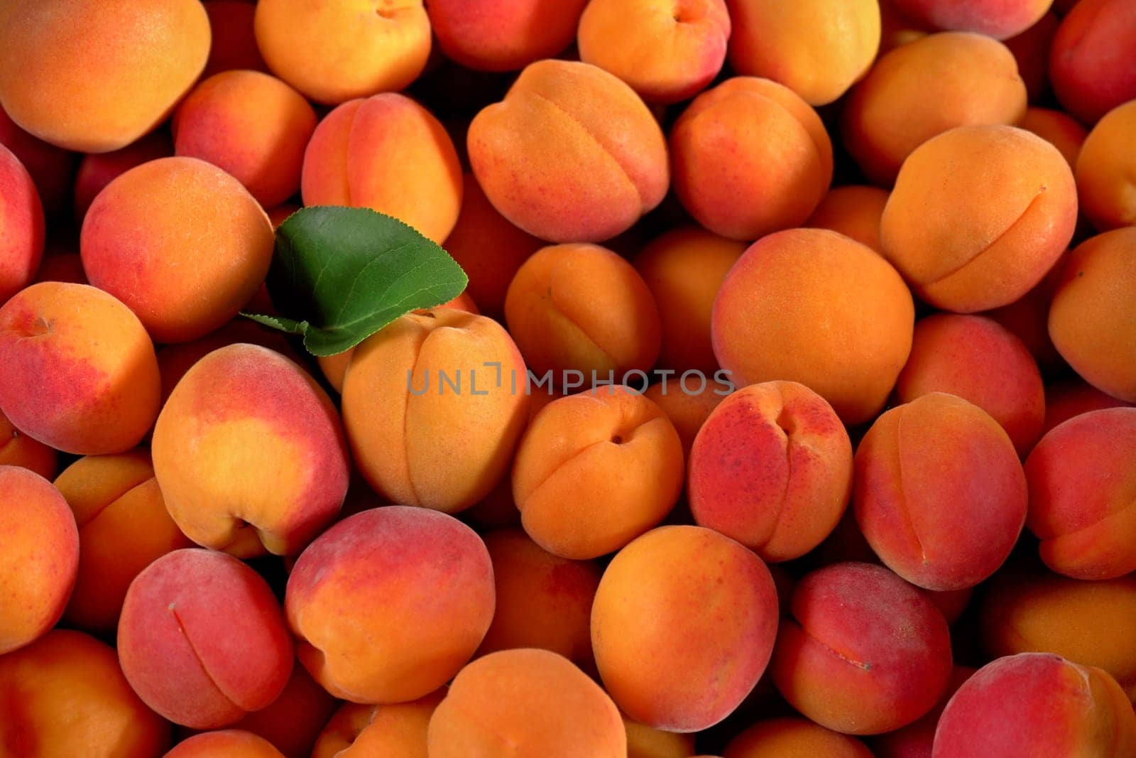 Heap of apricots with one green leaf, view from above by Ivanko