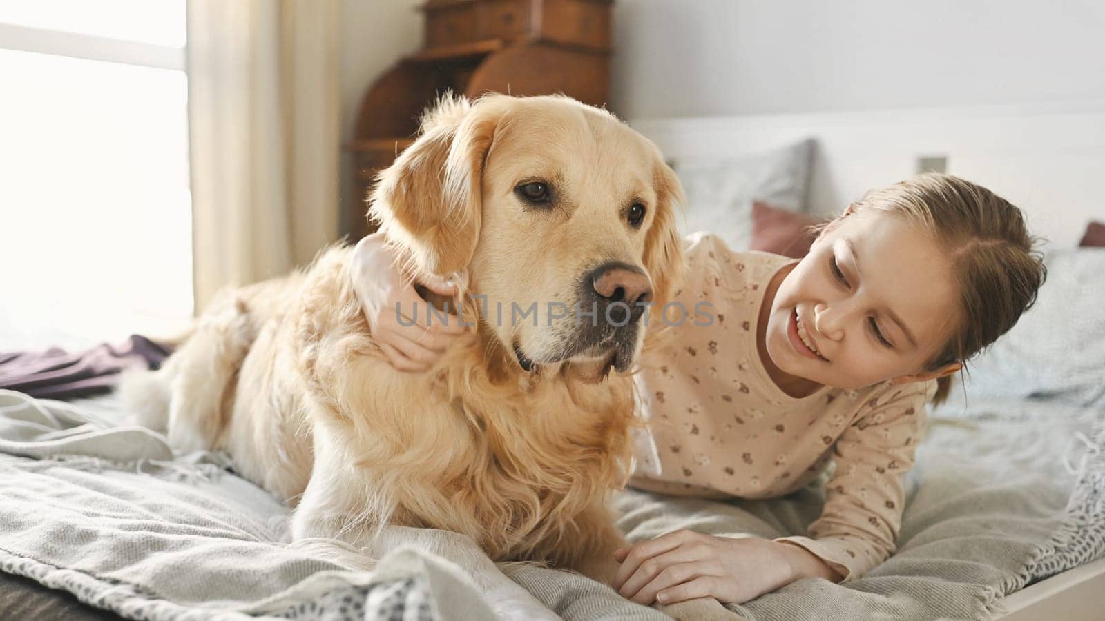 Cute kid girl petting golden retriever dog lying in bed and smilling in morning. Beautiful preteen kid with purebred pet doggy labrador wake up at home