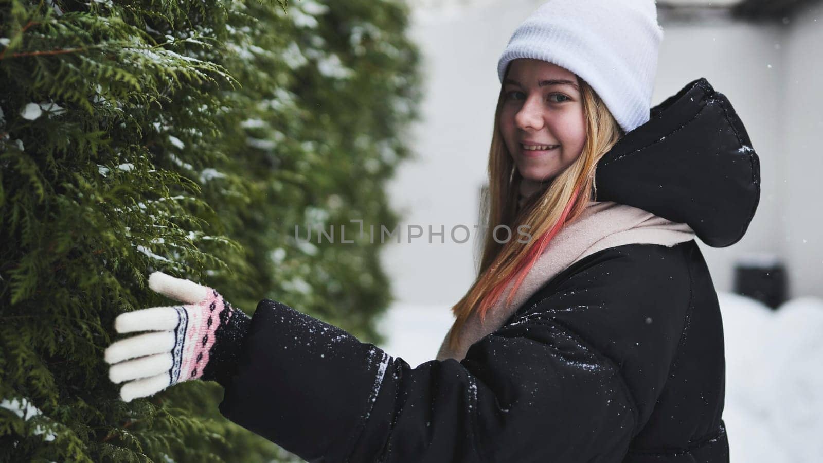 A girl walks by a thuja tree in winter and touches the branches of the tree with her hand