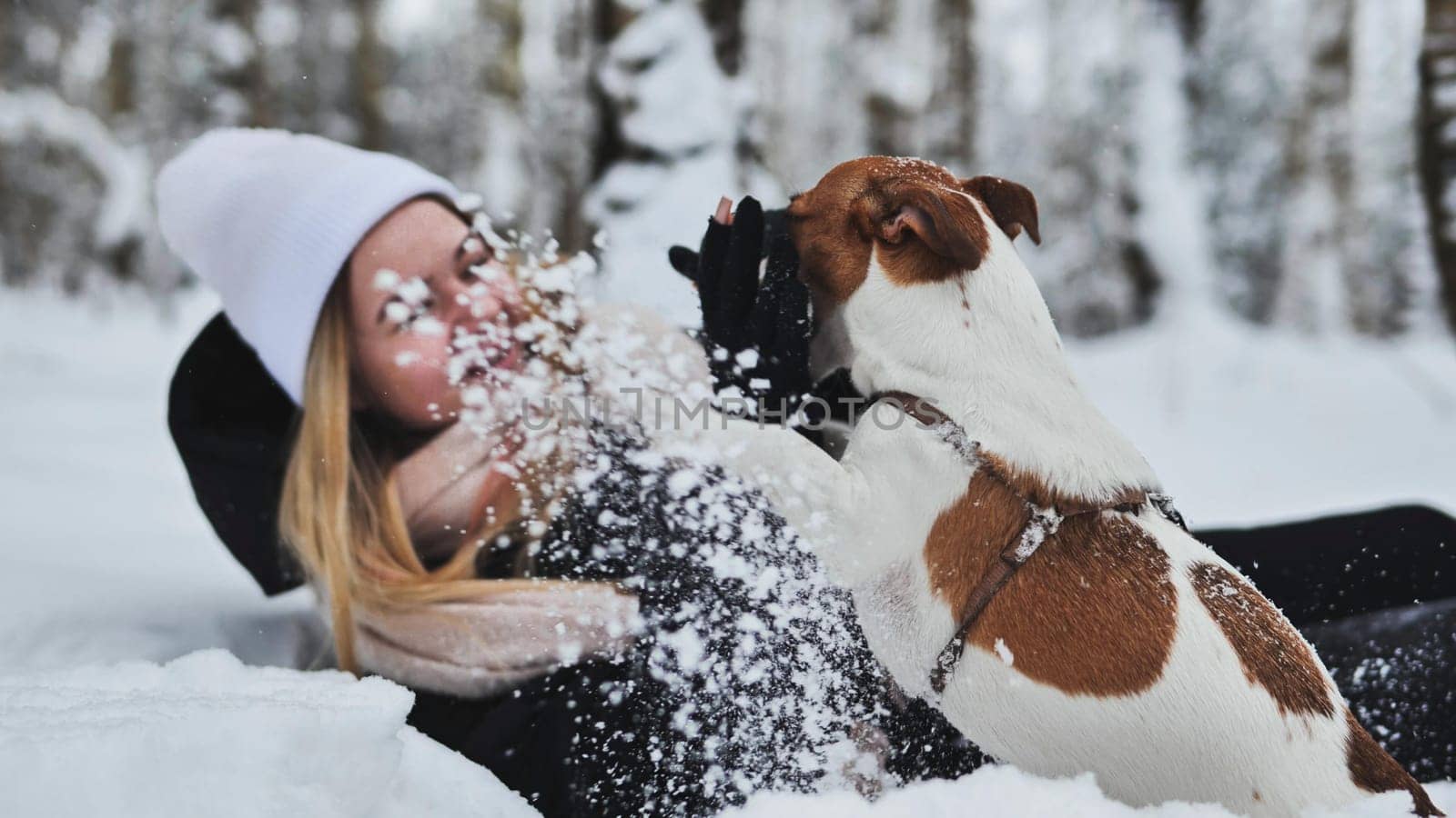 A girl falls in the snow with her Jack Russell Terrier dog in winter