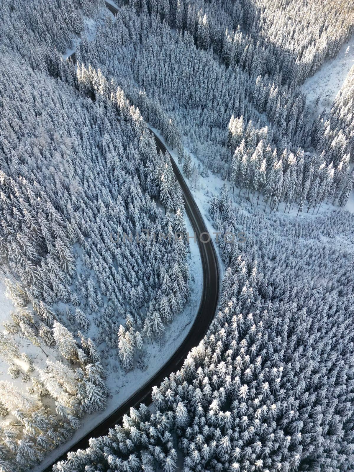 Aerial view of curvy asphalt road through winter forest of Low Tatras mountains, Slovakia. Drone overhead view to tops of pines and fir trees and winding narrow roadway to Demanovska Dolina village