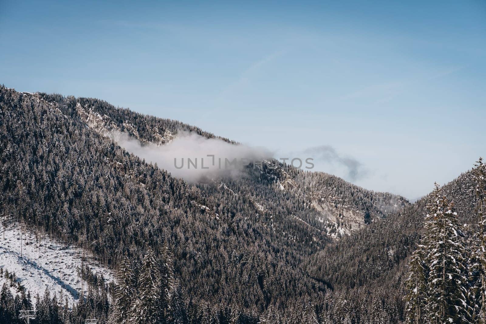 Winter mountain landscape with fog, snowy pine forest on rocks of Low Tatras, Slovakia