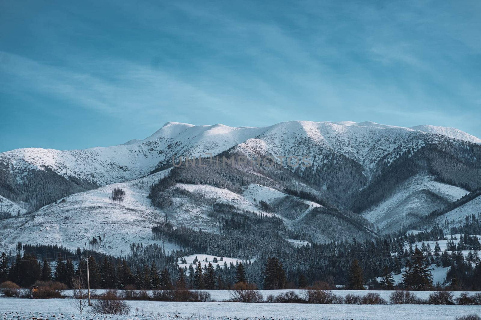 Winter mountain landscape with pine forest, Low Tatras, Slovakia by Popov