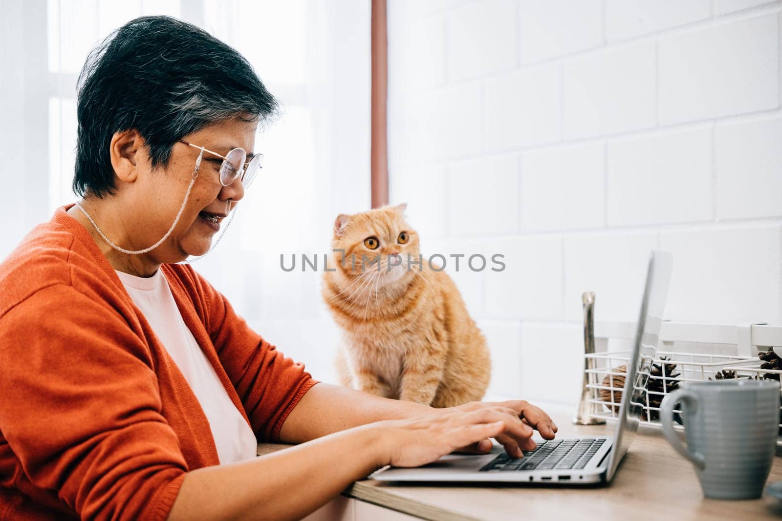 In this heartwarming scene, a woman works from her home office with her elderly cat sitting on the desk beside her. Their togetherness exemplifies the joy of companionship. pet love