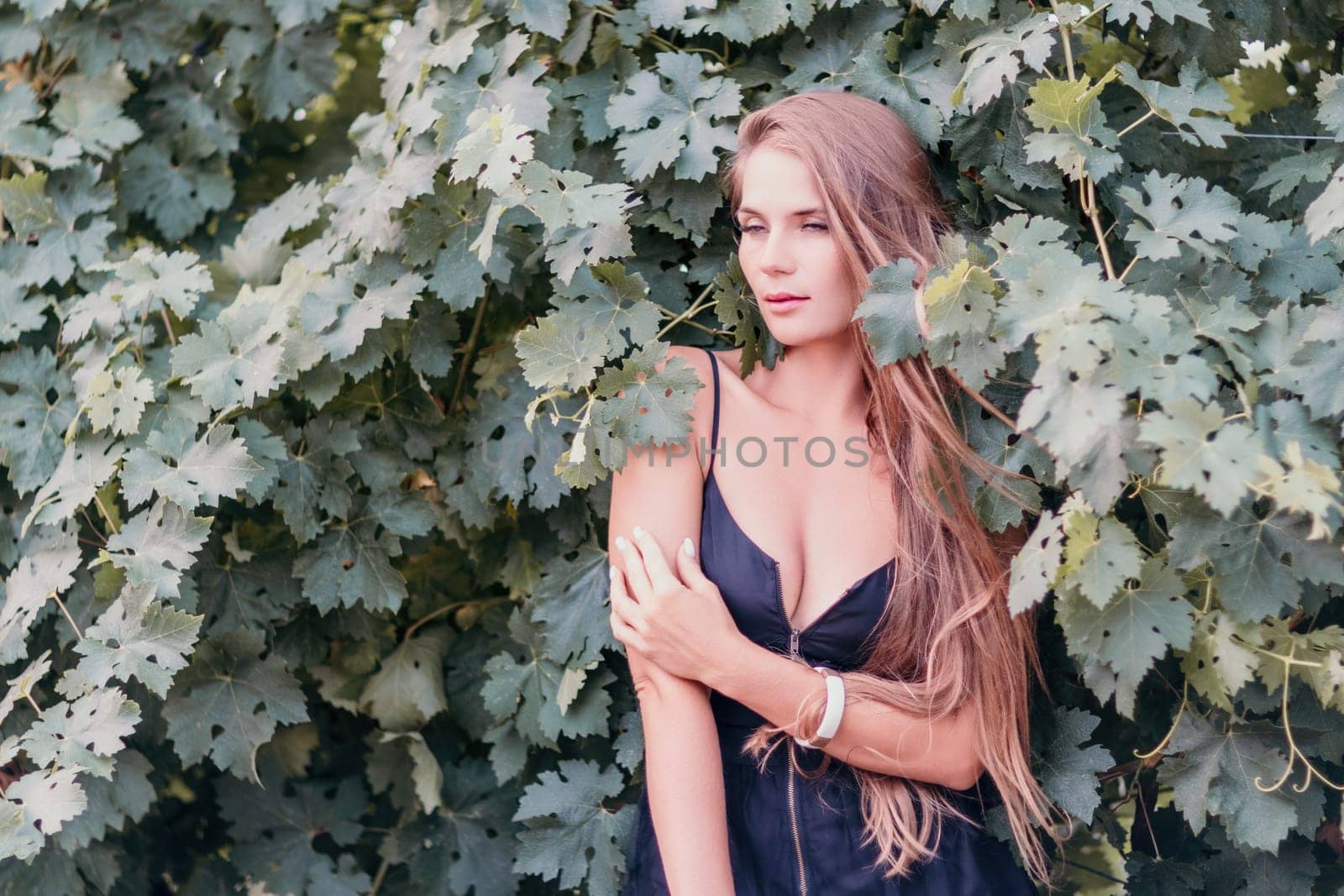 Woman travel winery. Portrait of happy woman holding glass of wine and enjoying in vineyard. Elegant young lady in hat toasting with wineglass smiling cheerfully enjoying her stay at vineyard. by panophotograph