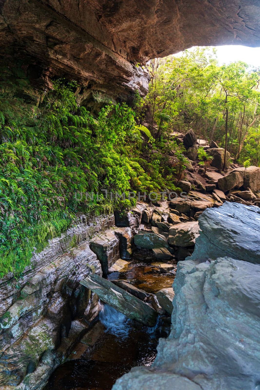 Lush Green Forest Stream Flowing Through Rocky Terrain by FerradalFCG