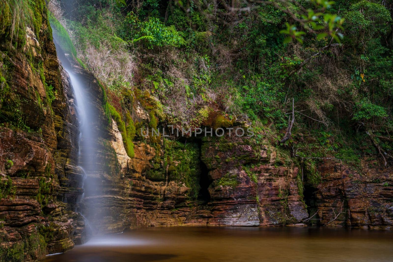 Tranquil long exposure photo captures a waterfall amidst lush foliage and stones.