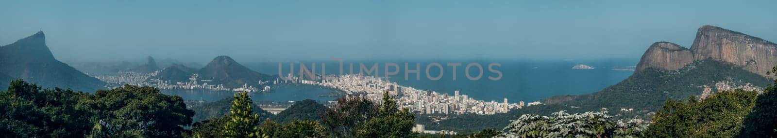 Stunning panoramic view of Rio de Janeiro's cityscape framed by greenery.