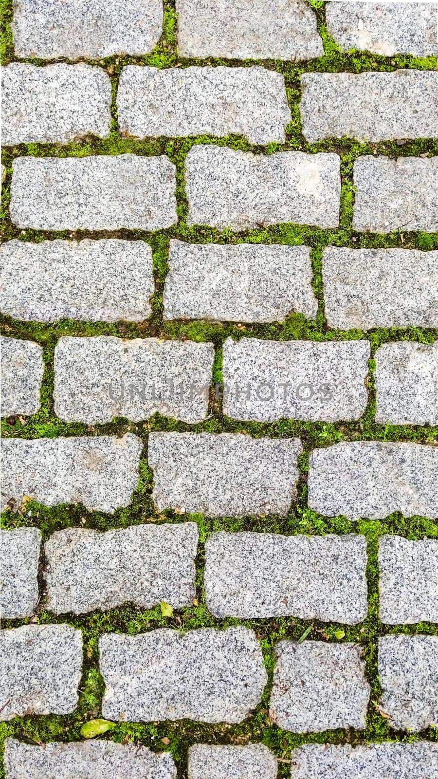 Texture of green grass sprouted between bricks of cobblestone path, top view. Concept of harmonious fusion of city and nature. by Laguna781