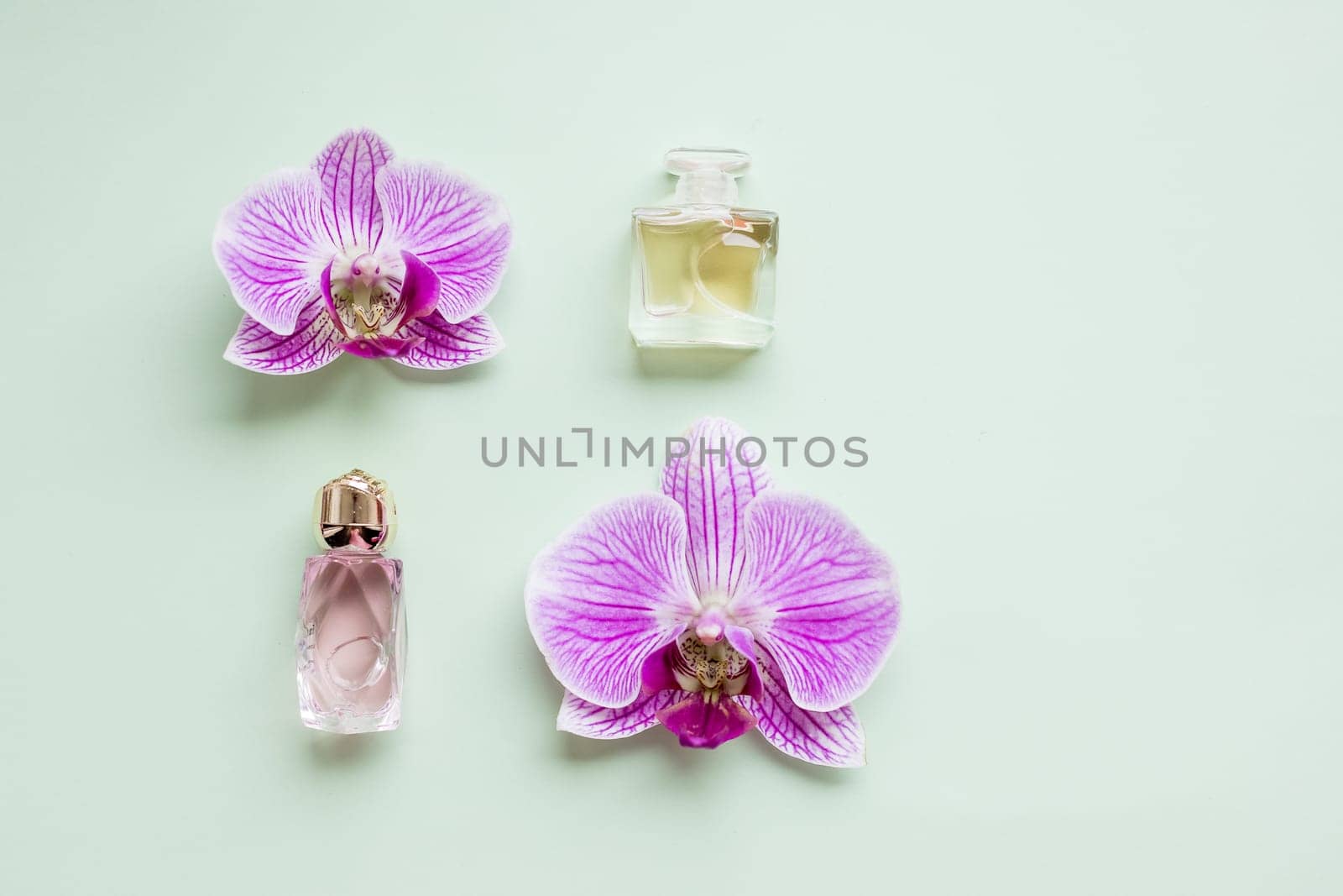 bottle of womens perfume and a delicate orchid flower