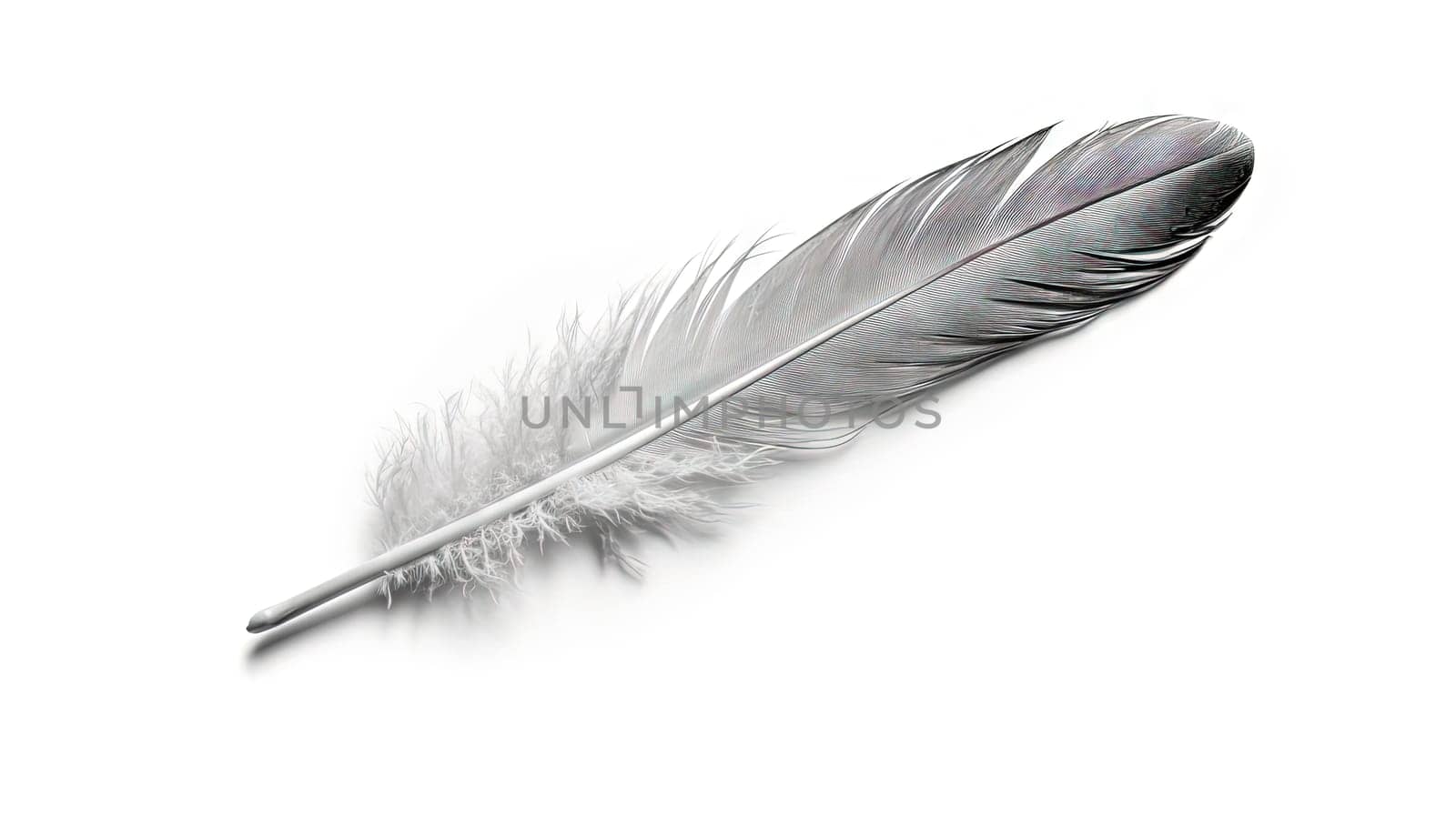 Bird feather on white background. Beautiful bird plumage or wing element, isolated smooth feather. Generated AI