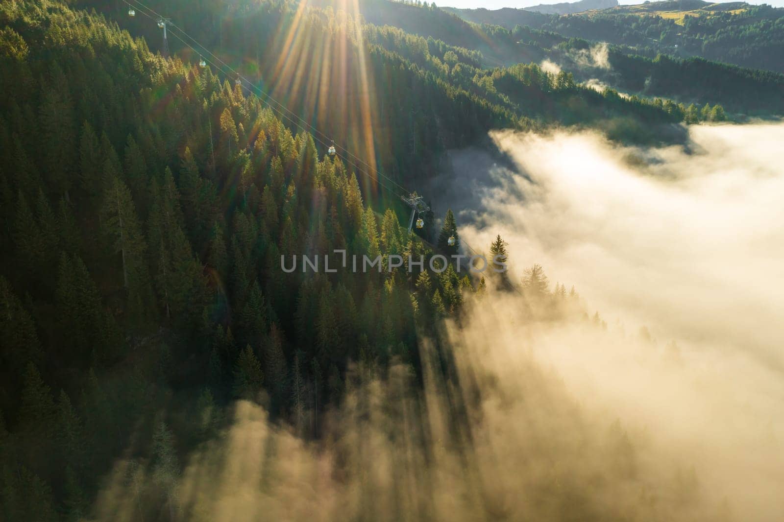 Rays of sun break through branches of fir trees in Alps at bright sunrise. Giant forestry mountains covered by dense fog aerial view