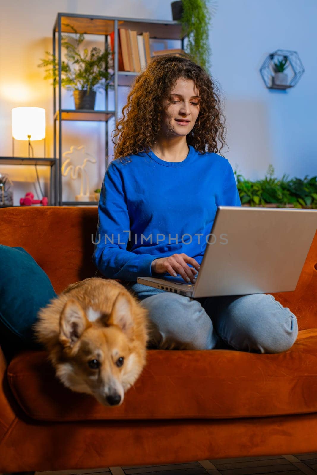 Happy woman with curly hair opening laptop and working remotely sitting beside corgi cute dog on sofa in living room. Beautiful female girl freelancer smiling and using netbook at home. Vertical