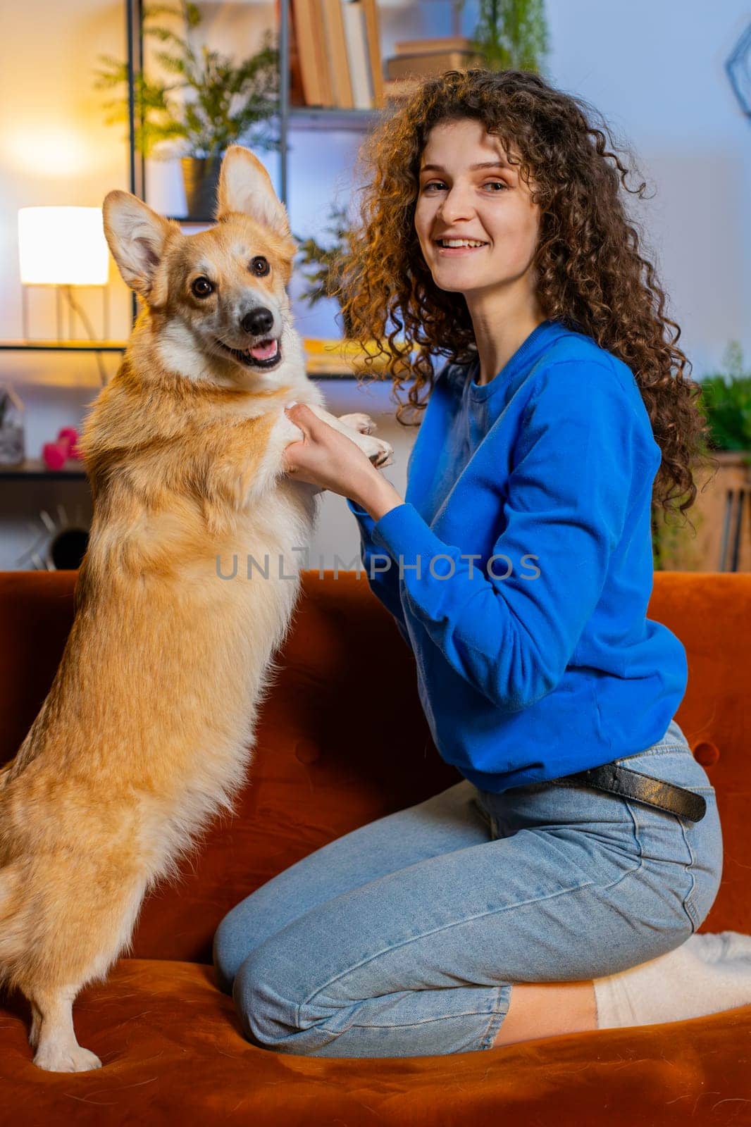 Side view of smiling young woman with curly hair playing with cute adorable corgi dog on sofa in living room at home. Playful female girl in casual clothes spending weekend time with dog in apartment.