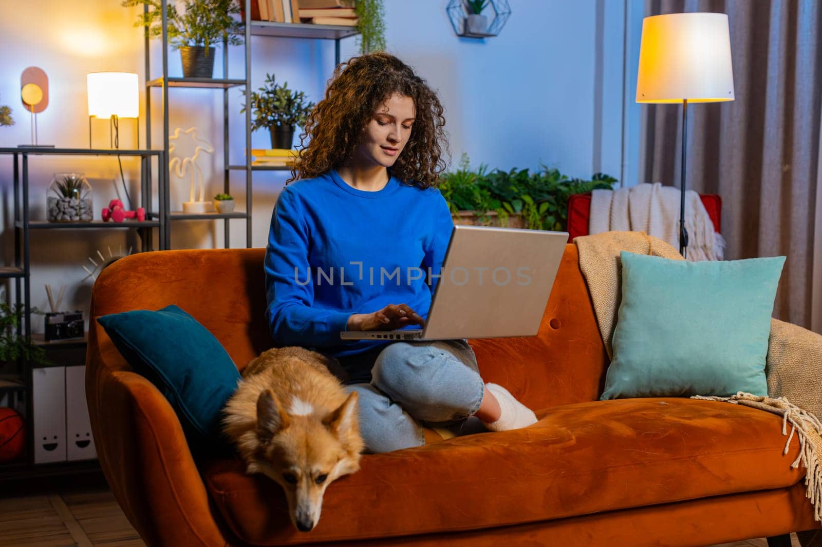 Happy woman with curly hair opening laptop and working remotely sitting beside corgi dog on sofa in living room. Beautiful female girl freelancer in casual clothes smiling and using netbook at home.