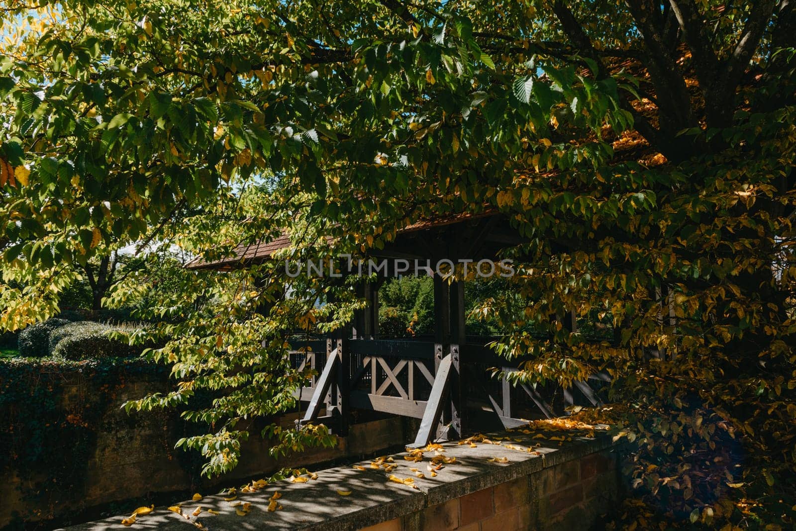 A wooden bridge in the park with and autumn colors of Bietigheim-Bissingen, Germany. Europe. Autumn landscape in nature. Autumn colors in the forest. autumn view with wooden bridge over stream in the park in autumn season