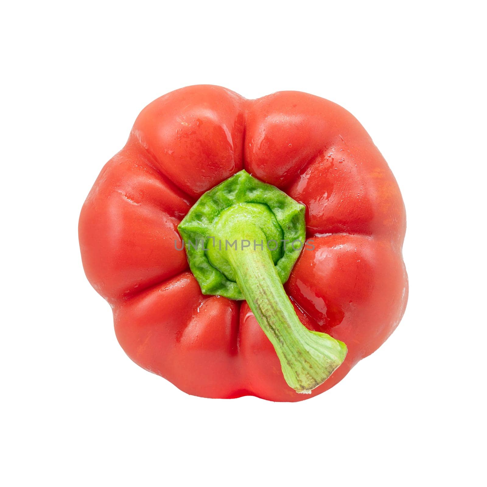 Bell pepper isolated on white background by stoonn