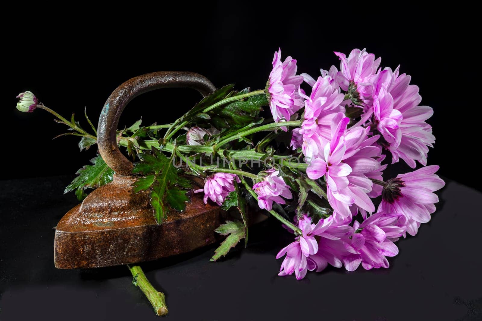 Old rusty iron and flowers on a black background. by Multipedia