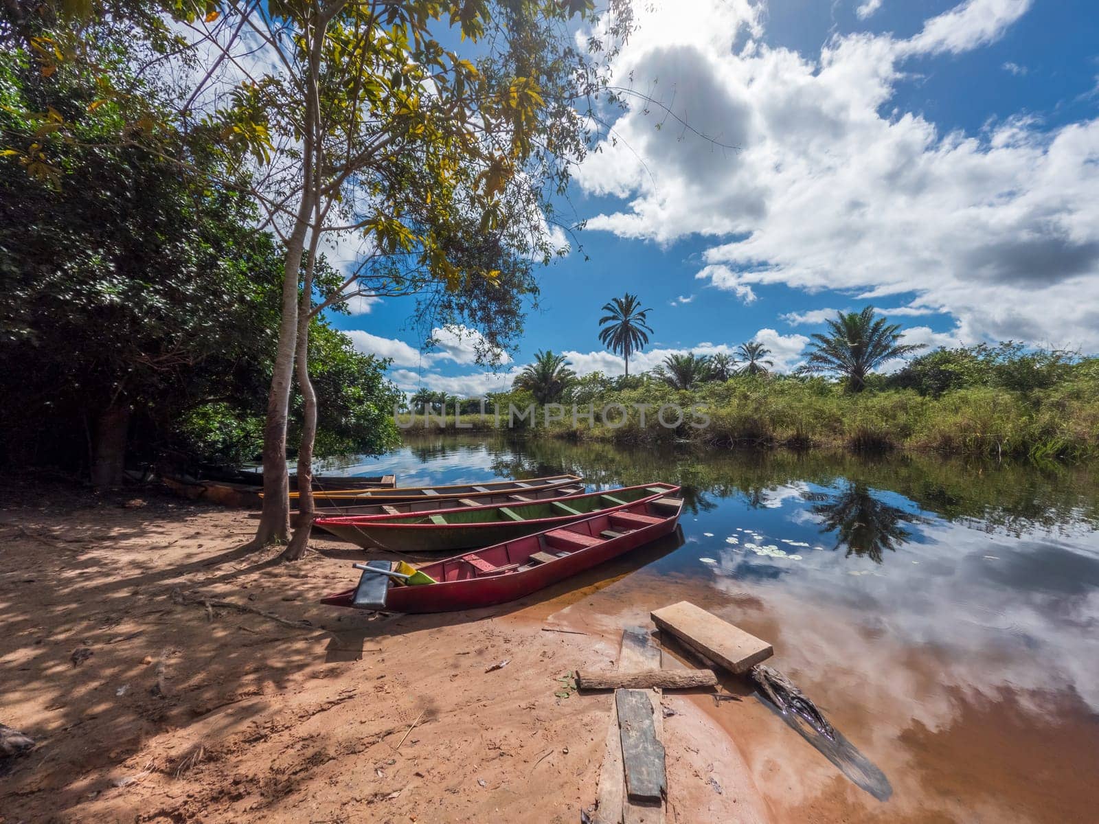 Canoes by a river with tropical plants under a blue sky.