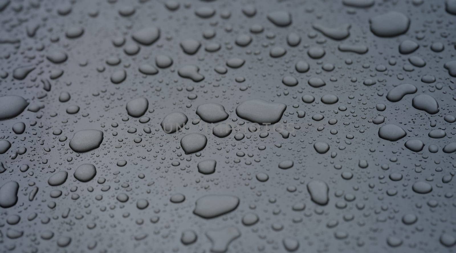 Closeup of raindrops on black hood of car background. Rainy day weather forecast concept