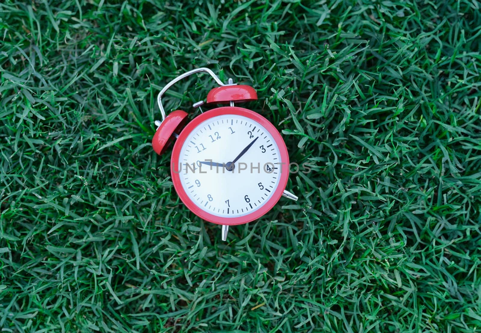 Red classic alarm clock lying on green grass closeup. Healthy lifestyle concept