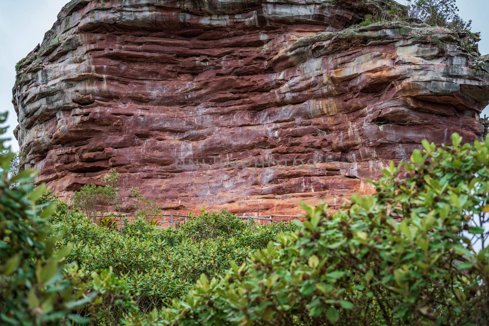 Red sandstone cliff juxtaposed with lush greenery in a striking natural scene.
