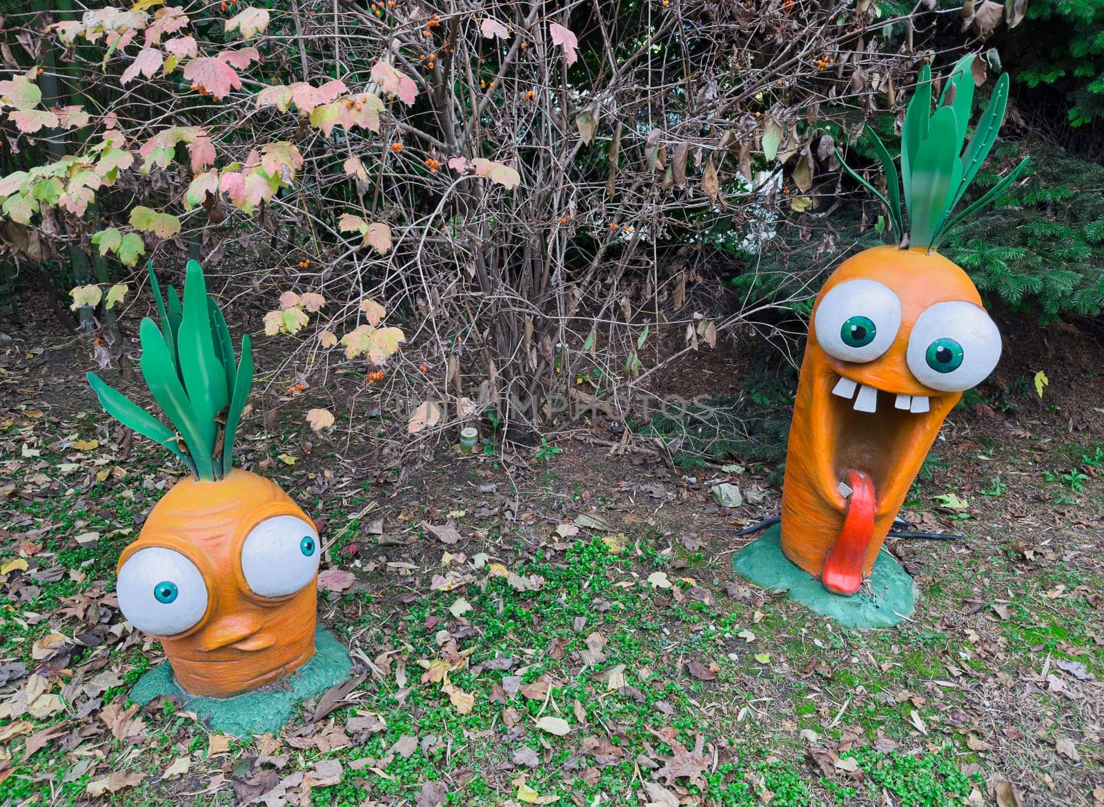 comic sculpture of carrots in the park. photo