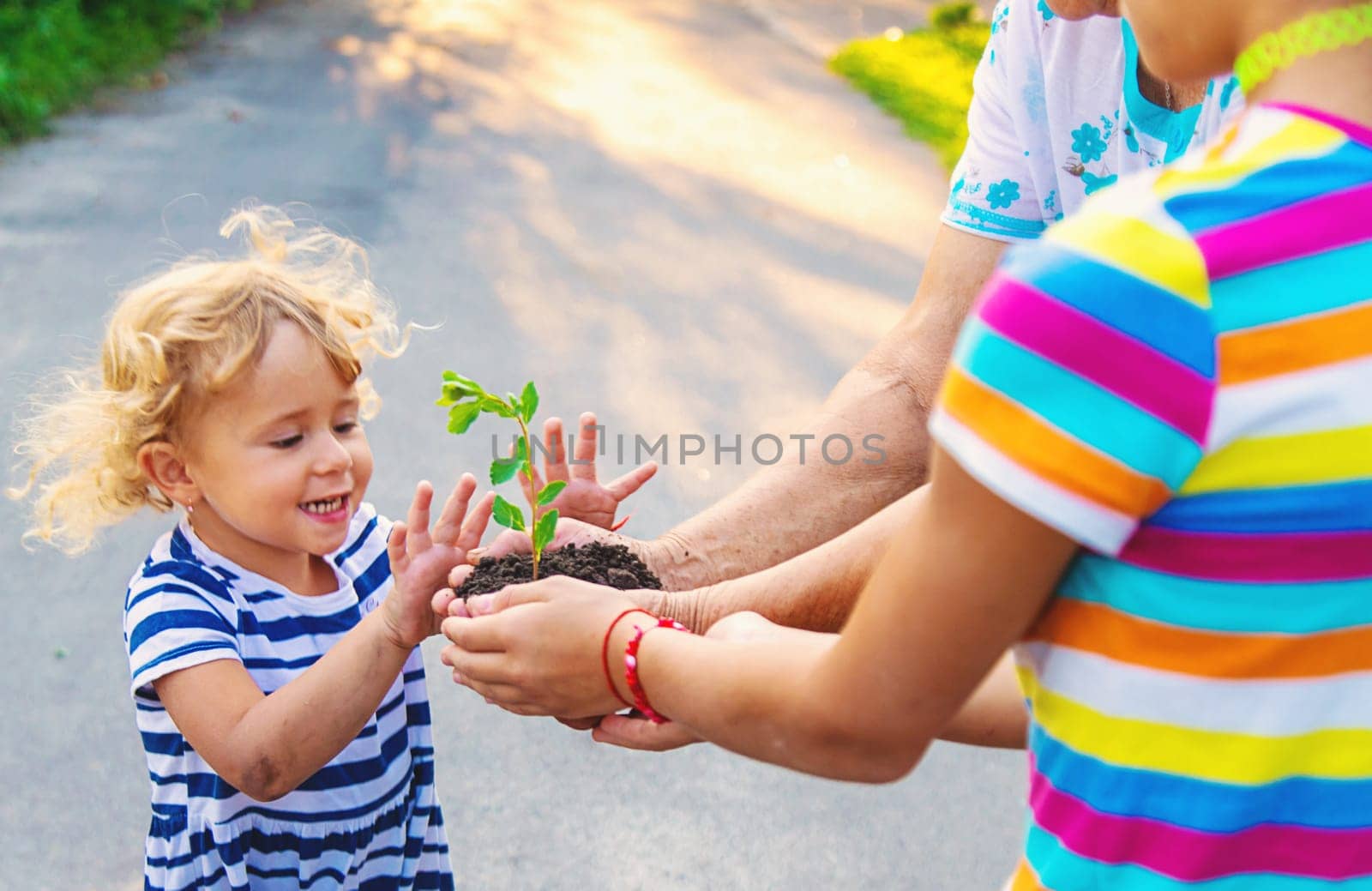 Grandmother and child hold a tree sprout in their hands. Selective focus. Nature.