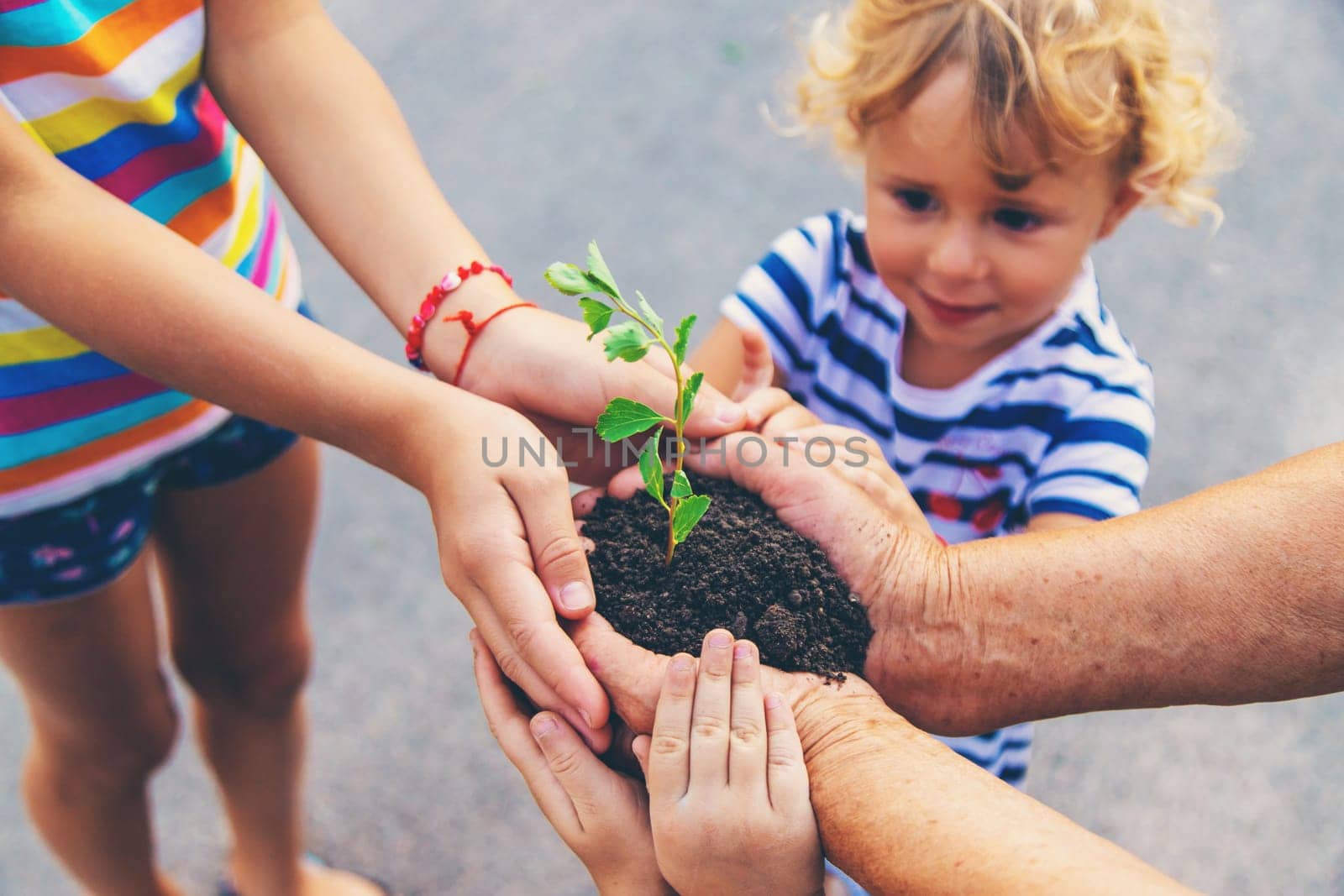 Grandmother and child hold a tree sprout in their hands. Selective focus. Nature.