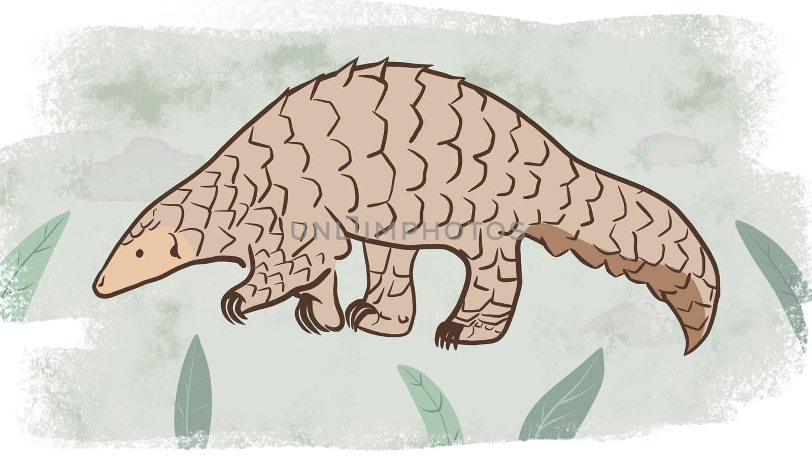 Pangolin or scaly anteater, a scales covered mammal from tropical areas such as Africa and Asia. by XabiDonostia