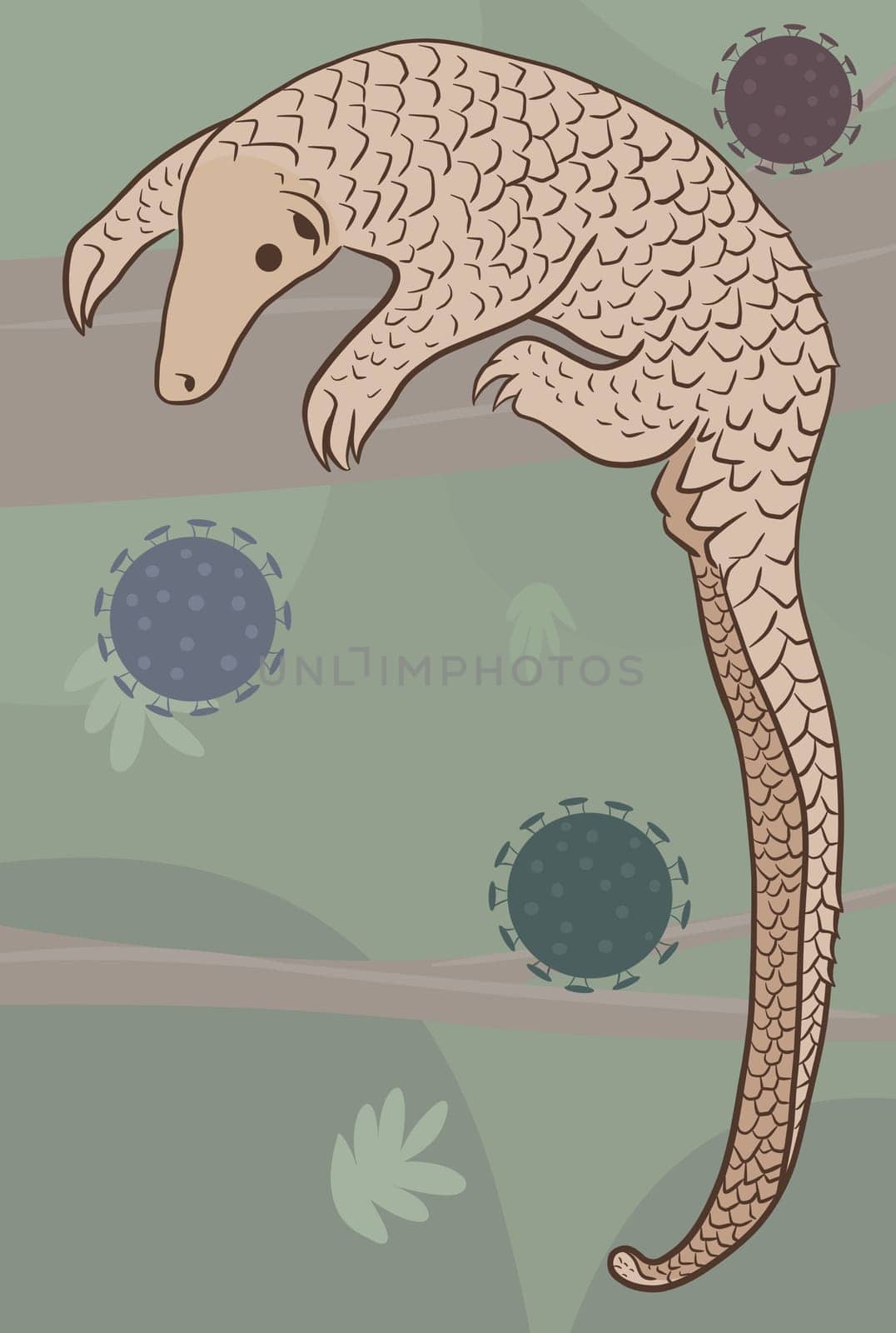 Pangolin or scaly anteater, a scales covered mammal from tropical areas such as Africa and Asia. by XabiDonostia