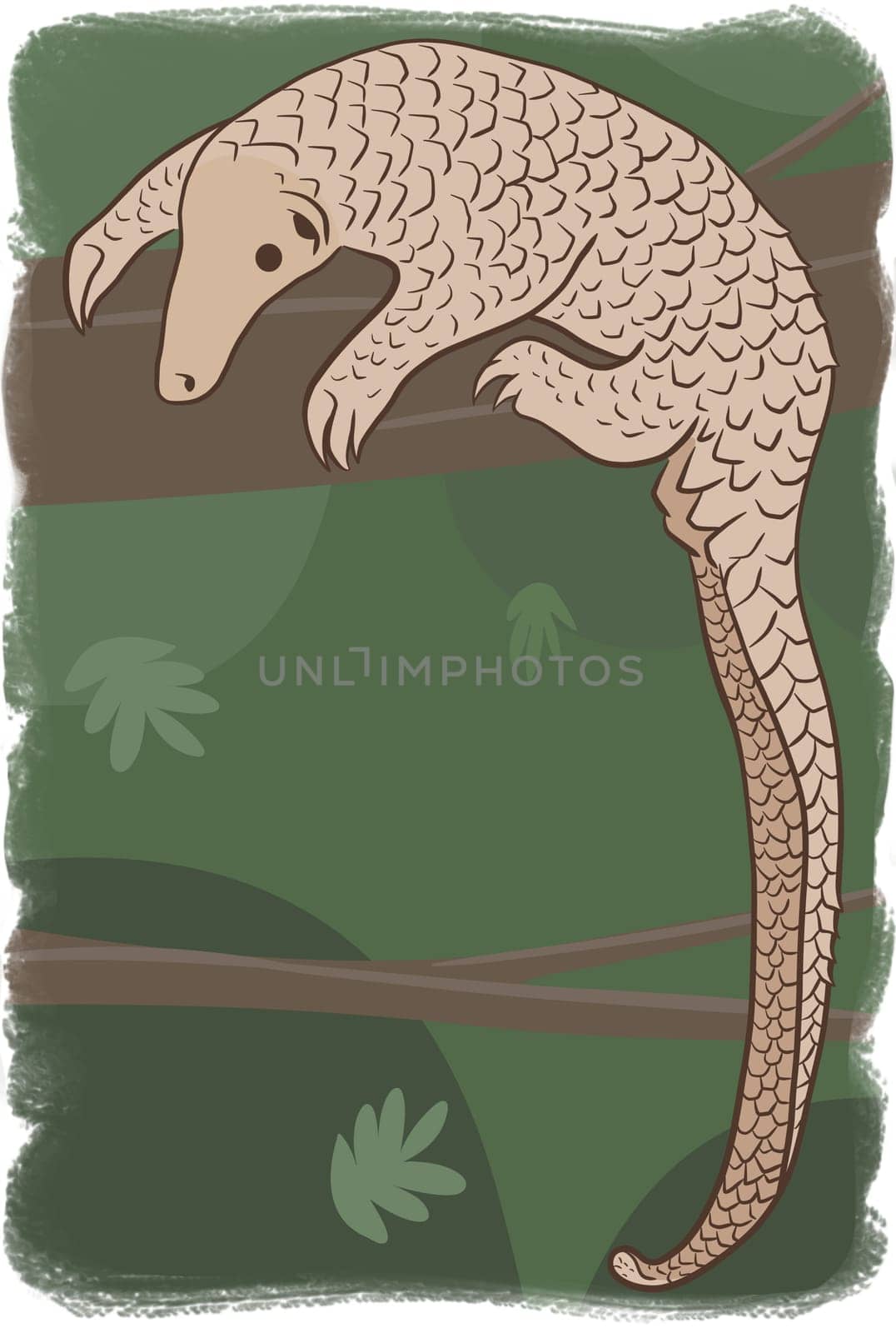 Pangolin or scaly anteater, a scales covered mammal from tropical areas such as Africa and Asia. by XabiDonostia