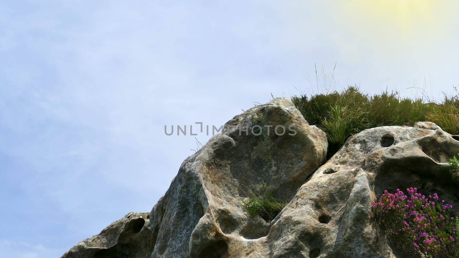 Large stone with erosions and plants in the mountains, Basque Country. by XabiDonostia