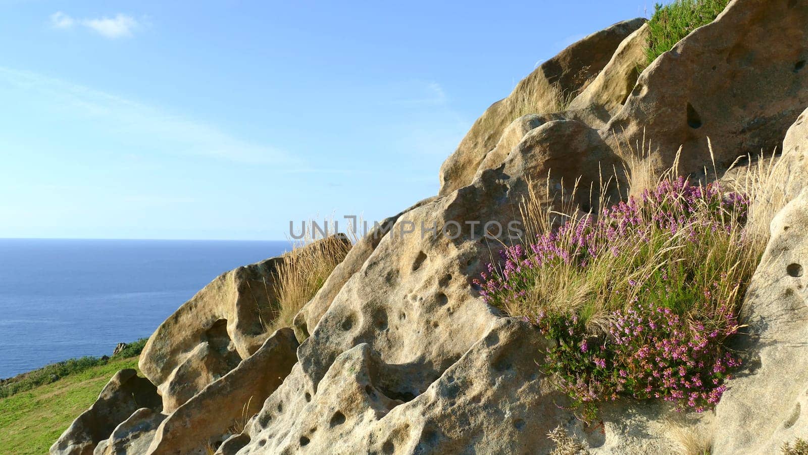 Large stone with erosions and plants in the mountains, Basque Country.