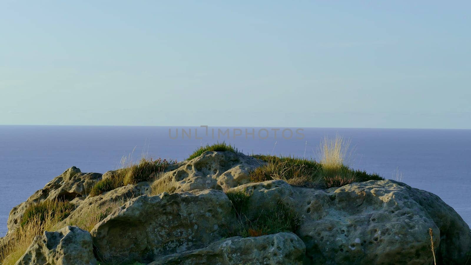 Rock with grass on the coast of the Cantabrian Sea by XabiDonostia