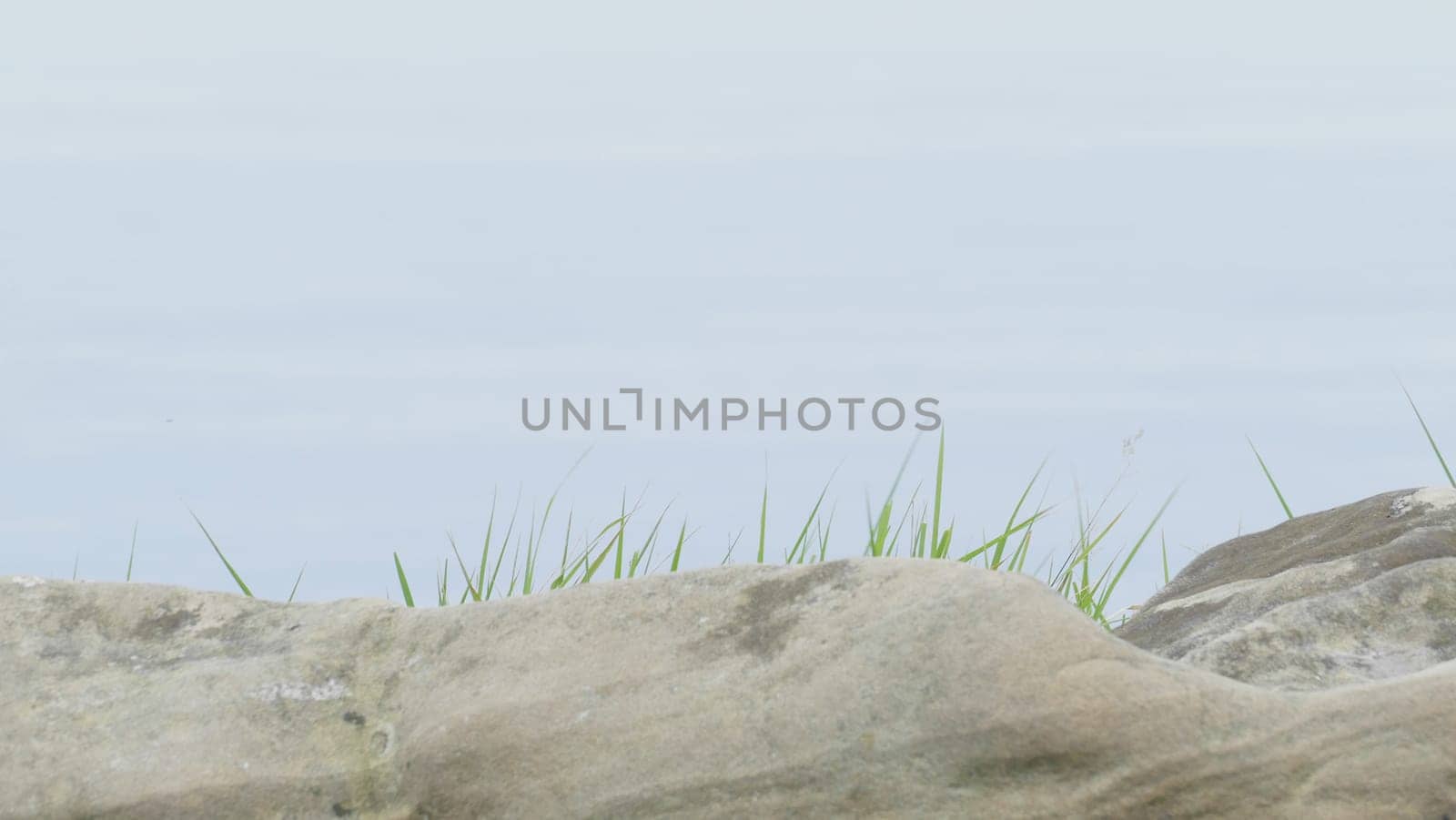 Rocks with green plants by XabiDonostia