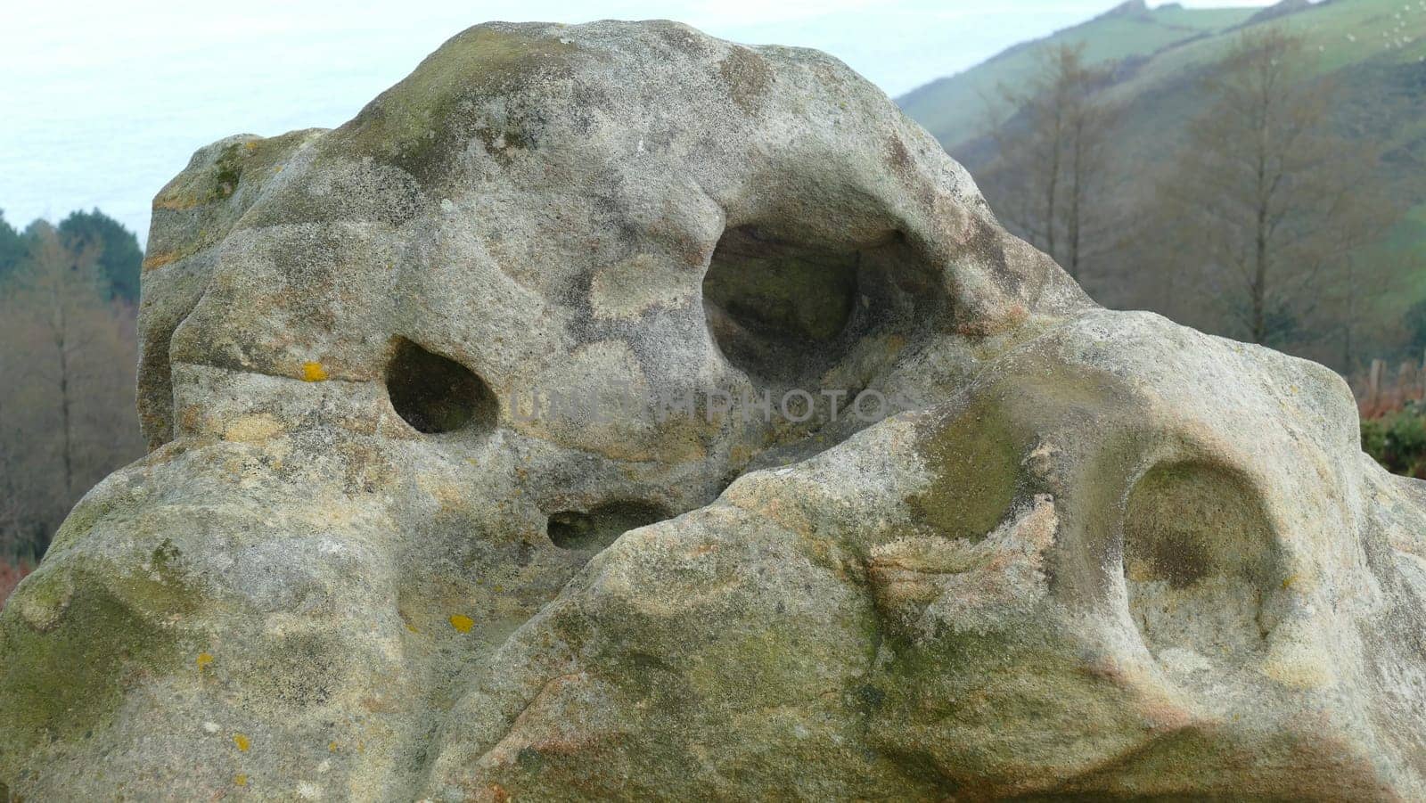 Sandstone with one-sided paraidolia on a mountain top