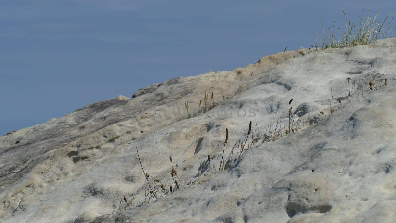 Sandstone with plants on the sea shore