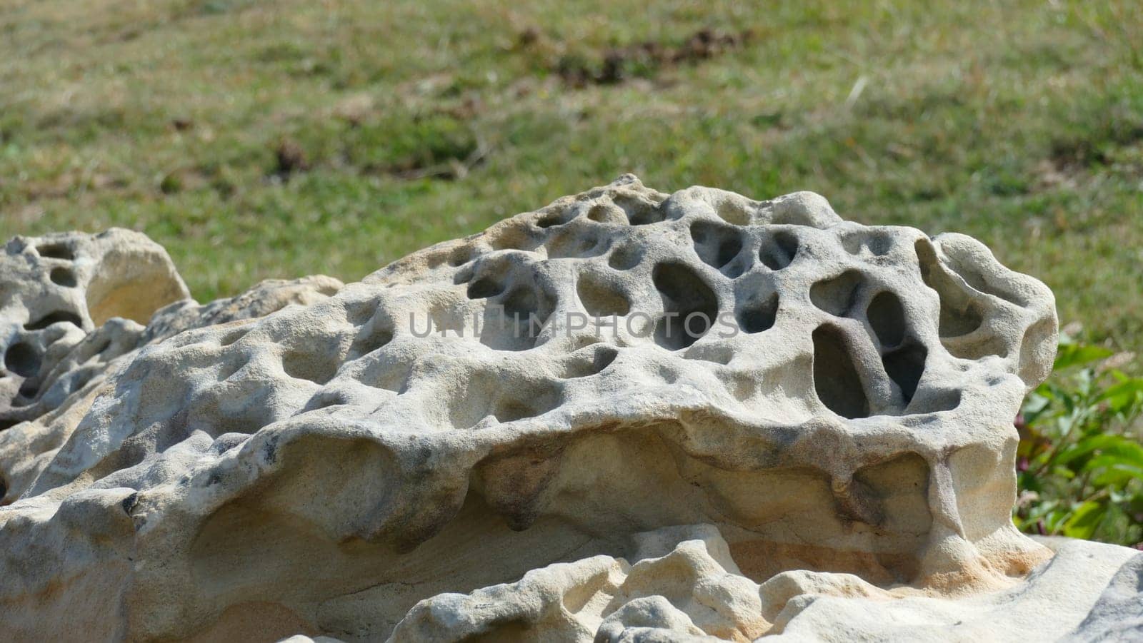 Eroded sandstone on the sea shore