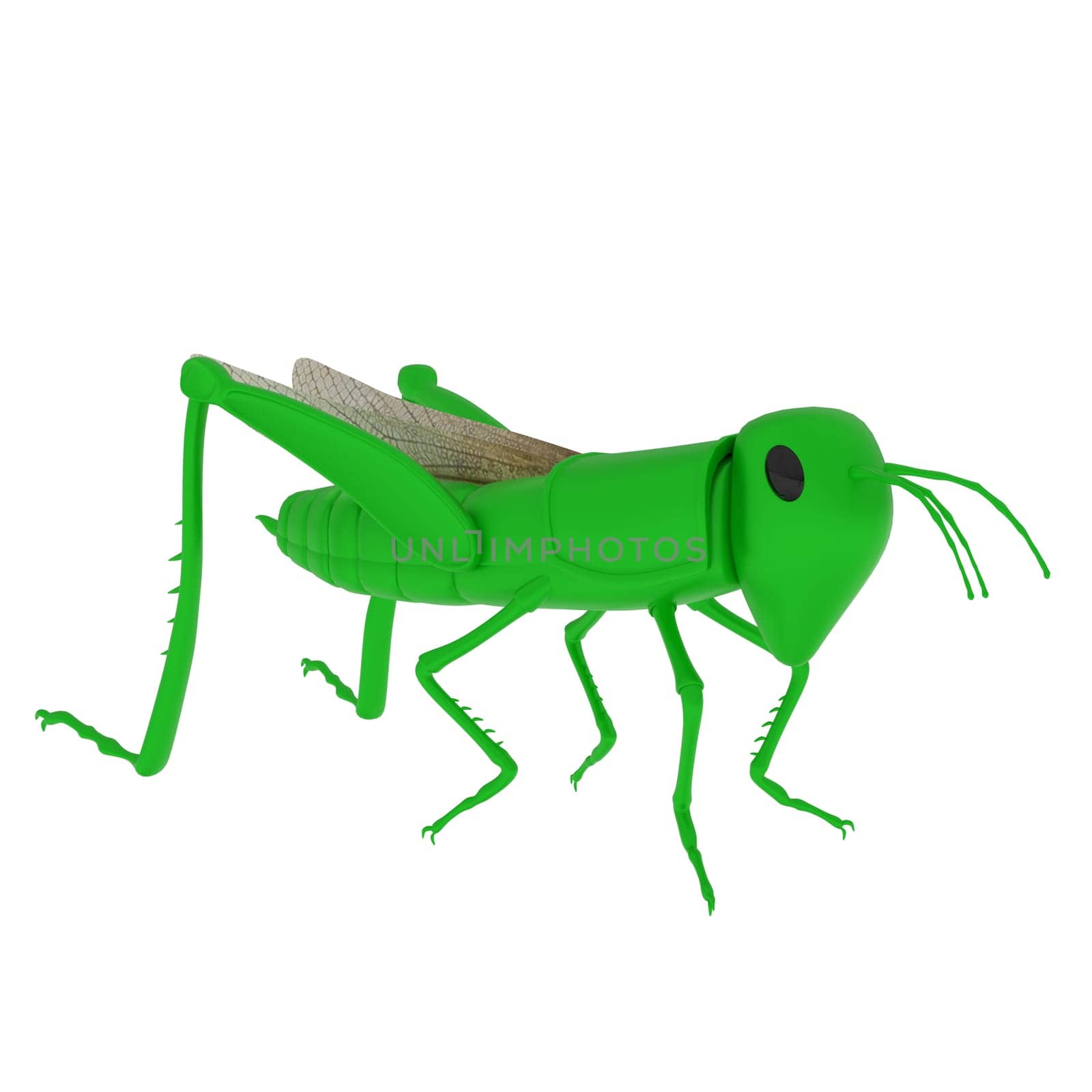 Grasshopper isolated on white background. High quality 3d illustration